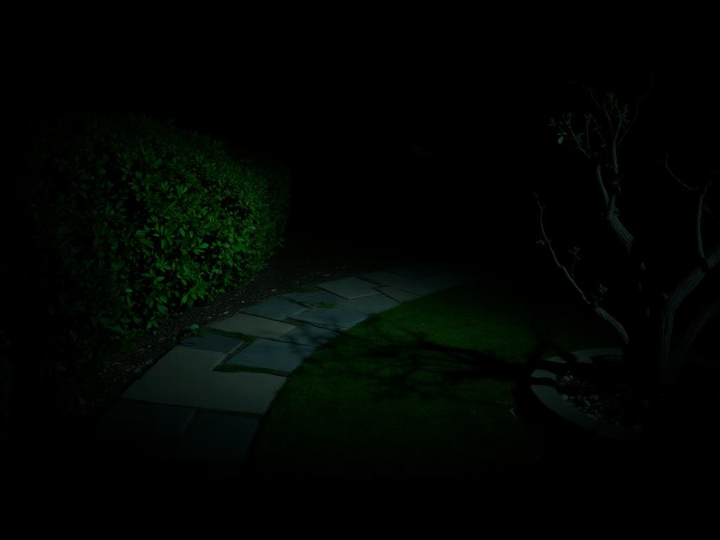 Before: Garden Pathway & Moonlighting